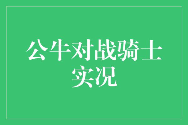 公牛队！激战绽放，公牛对战骑士实况