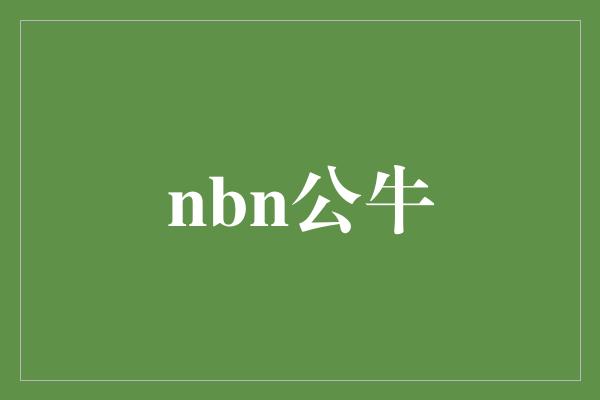 nbn公牛