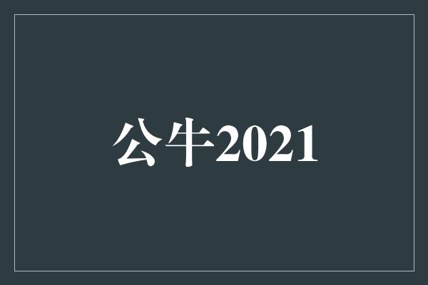 公牛队！公牛2021 决战之年，展翅翱翔