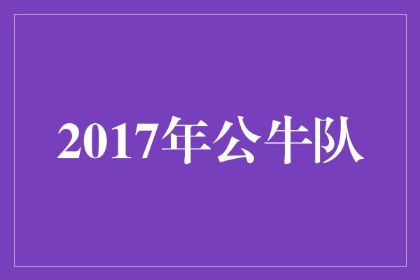 2017年公牛队