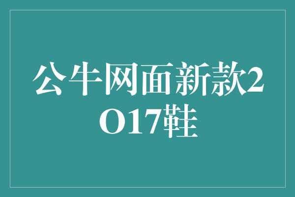 舒适！领略时尚潮流，公牛网面新款2017鞋引领潮人风采