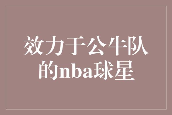 效力于公牛队的nba球星