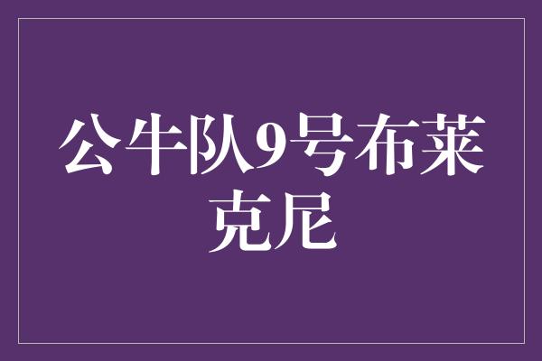 公牛队9号布莱克尼