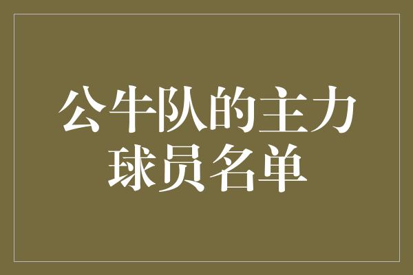 公牛队的主力球员名单