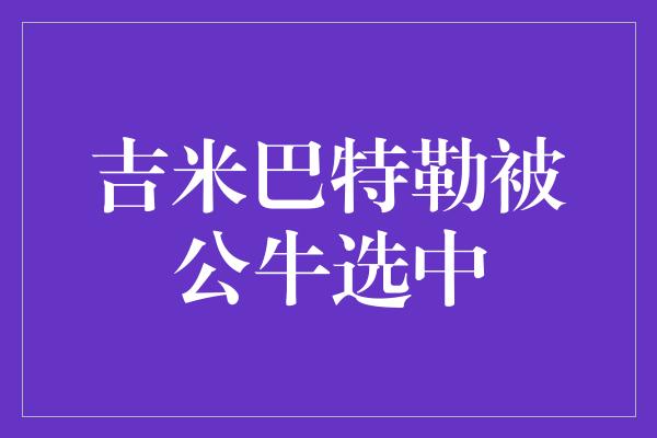 吉米巴特勒被公牛选中