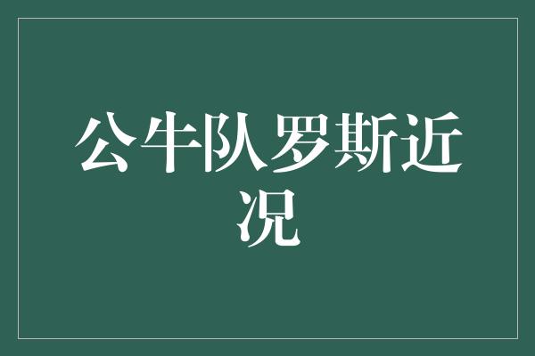 公牛队！约翰·罗斯 不屈不挠，铸就传奇篇章