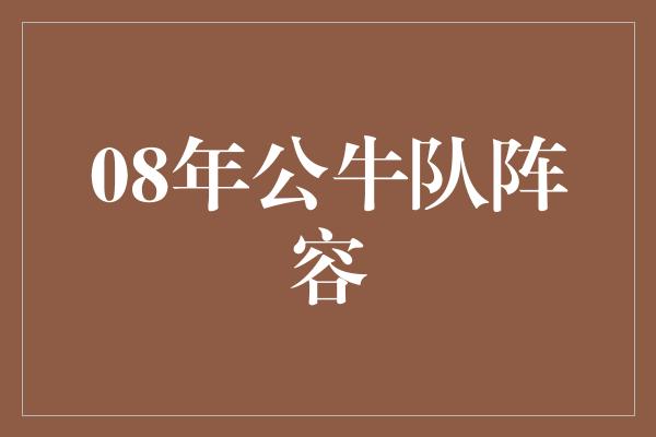 公牛队！回顾2008年公牛队阵容 勇往直前的战士们