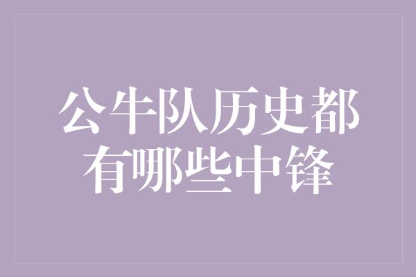 公牛队！公牛队历史的中锋传奇