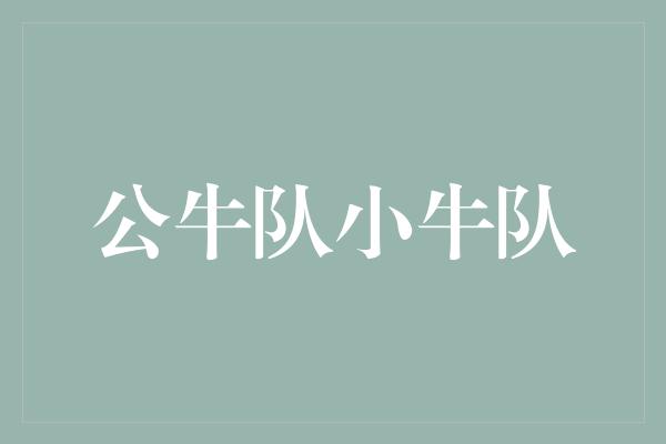 公牛队！对决巅峰之战——公牛队与小牛队的较量