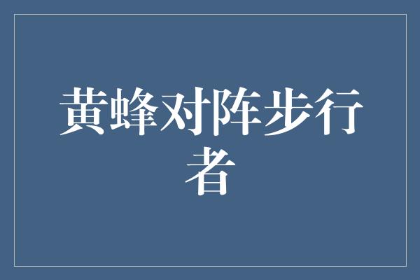 黄蜂对阵步行者