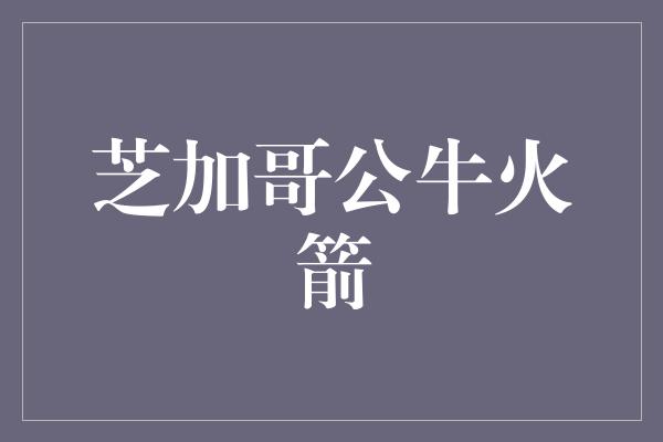 芝加哥公牛火箭