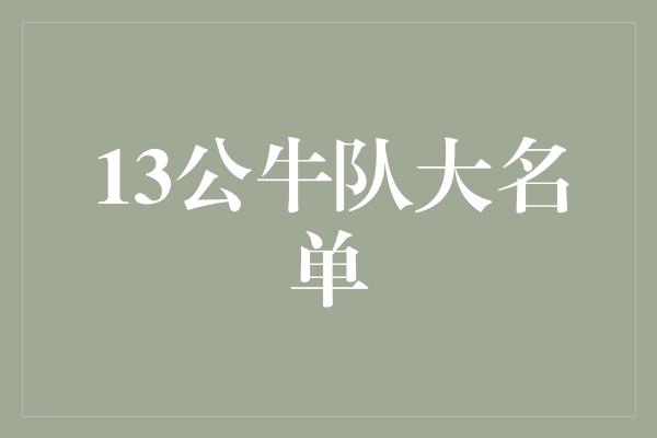 公牛队！重回巅峰！13公牛队大名单点燃篮球热情