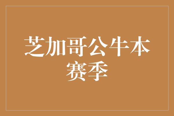 芝加哥公牛本赛季