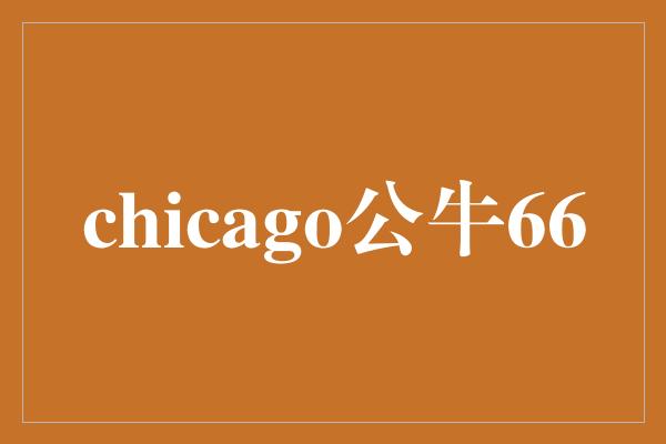 chicago公牛66