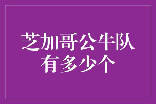 芝加哥公牛队有多少个