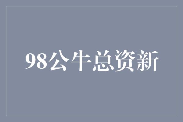 98公牛总资新