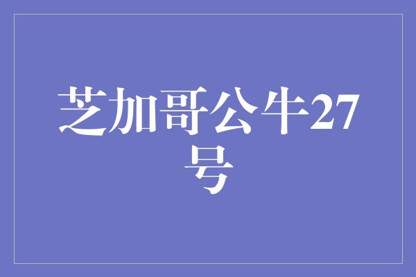 芝加哥公牛27号