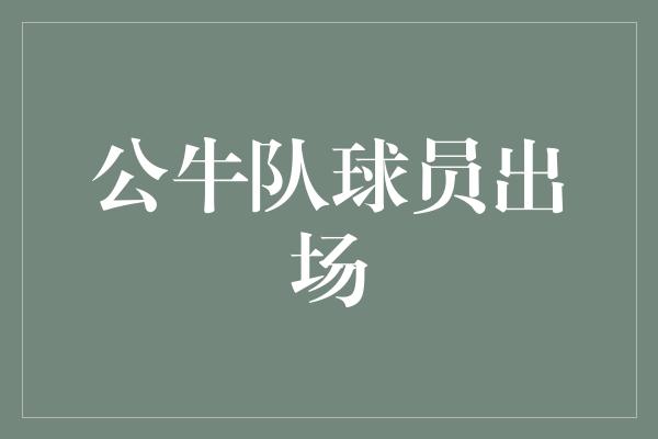 公牛队！公牛队球员出场 勇往直前，掀起新一轮篮球狂潮！