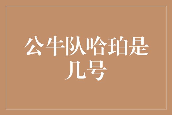 公牛队！揭秘公牛队哈珀的背后故事——他的球衣号码是几号？