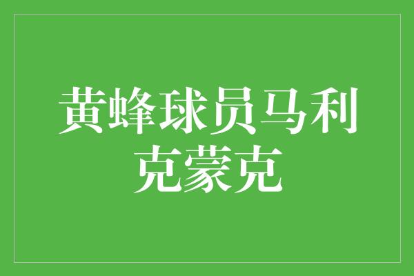 潜力！闪耀NBA舞台的黄蜂新星——马利克蒙克