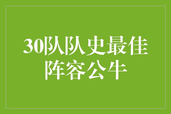 30队队史最佳阵容公牛