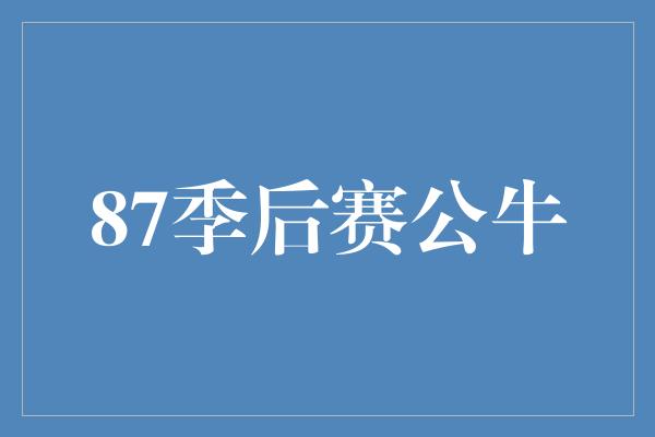 87季后赛公牛