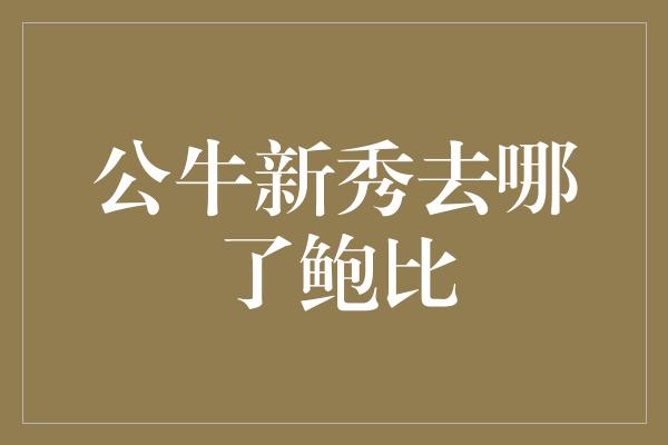 公牛新秀去哪了鲍比