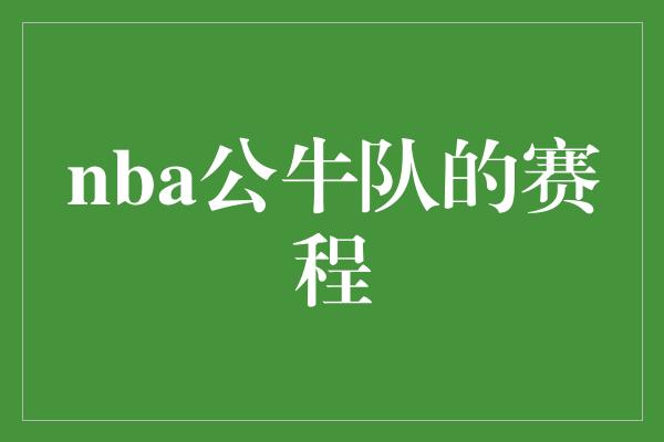 公牛队！热血冠军之路——NBA公牛队的赛程