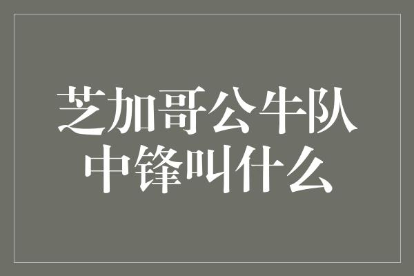 芝加哥公牛队中锋叫什么