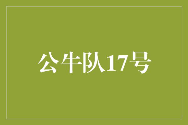 公牛队！重温辉煌岁月，致敬公牛队17号