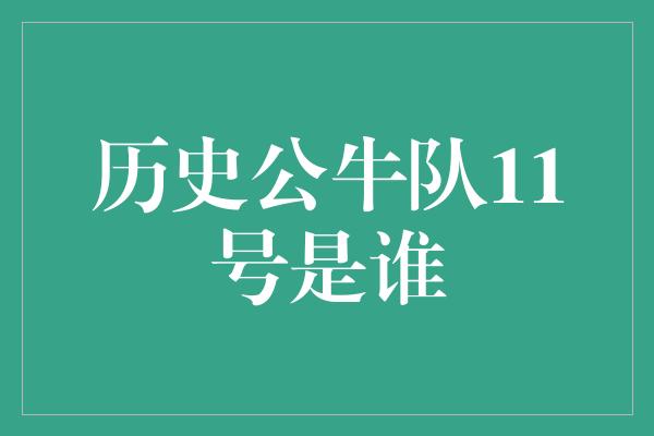 公牛队！重温辉煌时刻，历史公牛队11号球衣的传奇