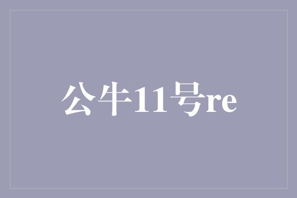 公牛11号re