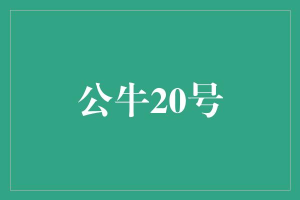 真正的！《勇往直前，不畏艰险——与公牛20号一同追逐梦想》