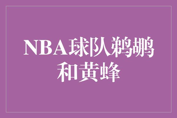 鹈鹕！鹈鹕与黄蜂 NBA赛场上的双雄