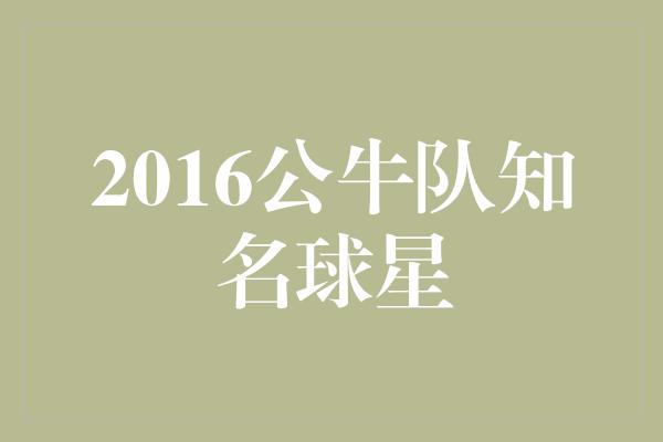 2016公牛队知名球星