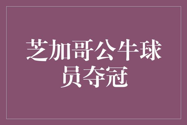 芝加哥公牛球员夺冠