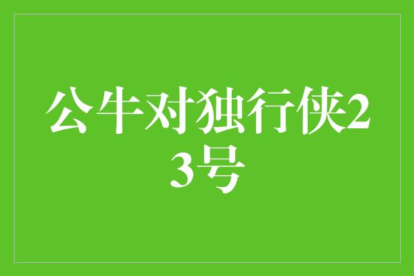 公牛队！公牛对独行侠23号 一场激烈的对决