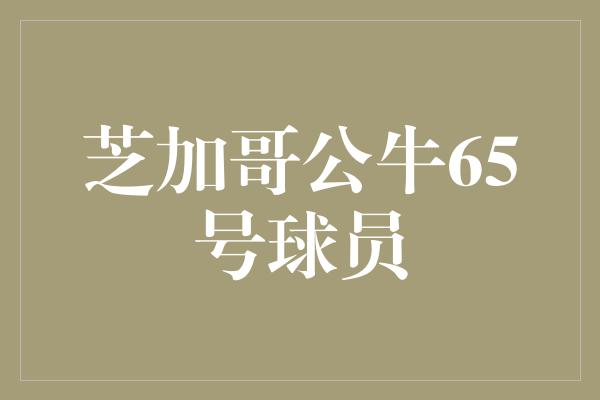 公牛队！传奇绽放！回顾芝加哥公牛65号球员的辉煌篇章