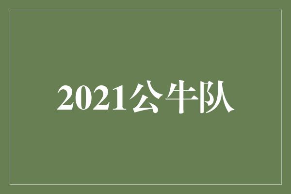 2021公牛队