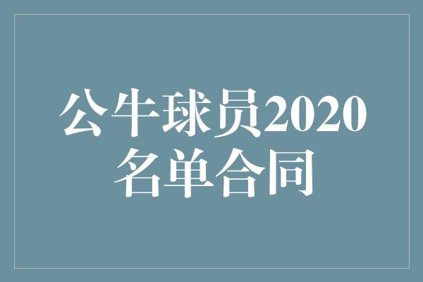 公牛球员2020名单合同