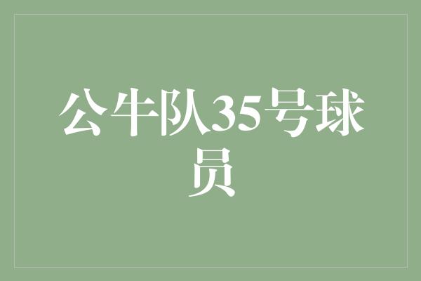 公牛队35号球员