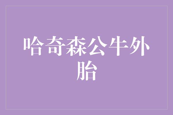 舒适！驾坐哈奇森公牛外胎，舒享畅行之乐