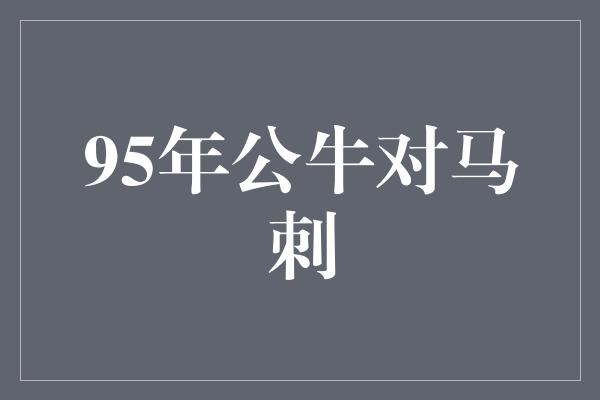 公牛队！精彩回顾 1995年公牛对马刺之战