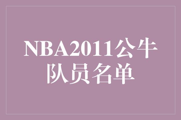 公牛队！NBA 2011公牛队员名单 英勇战斗，荣耀绽放