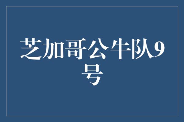 公牛队！回顾芝加哥公牛队9号传奇历程，永不言弃的精神令人钦佩