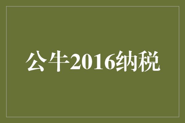 公牛2016纳税