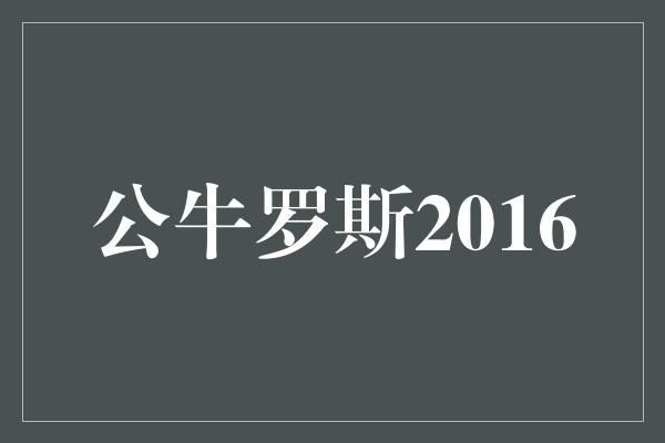 公牛队！重返巅峰，公牛罗斯2016再度崛起