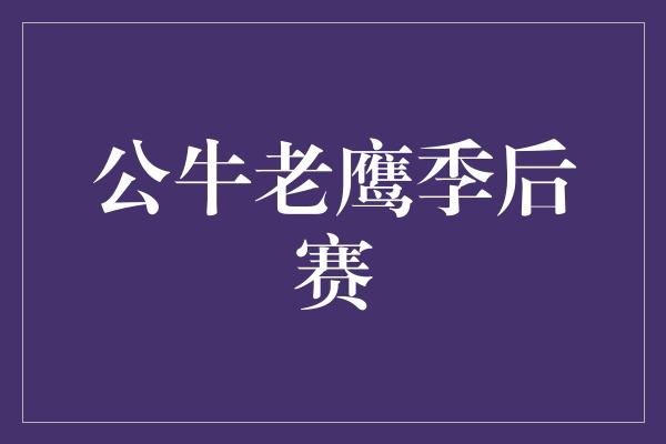 公牛队！公牛与老鹰的季后赛之战