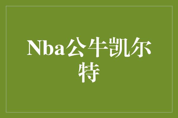 Nba公牛凯尔特