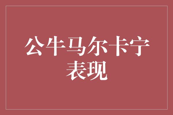 公牛队！公牛马尔卡宁 决胜时刻的热血英雄